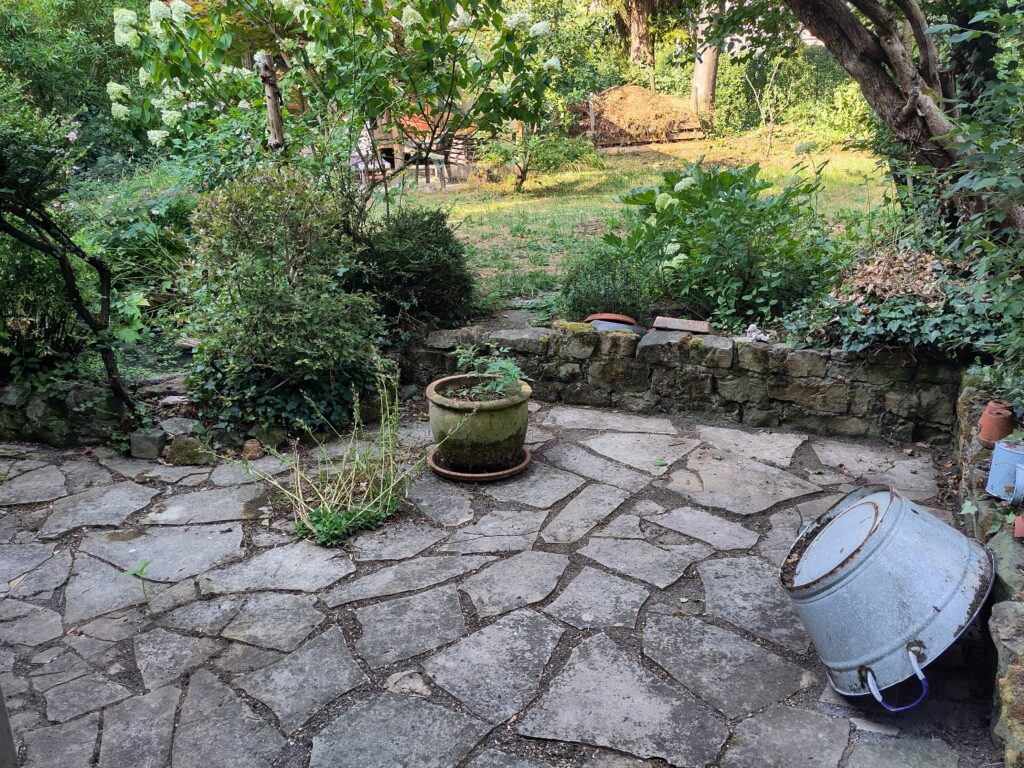 Eine Terrasse (ohne Unkraut zwischen den Ritzen, abgesehen von einer schon leicht verblühten Glockenblume). Dahinter Steinmäuerchen und Garten.